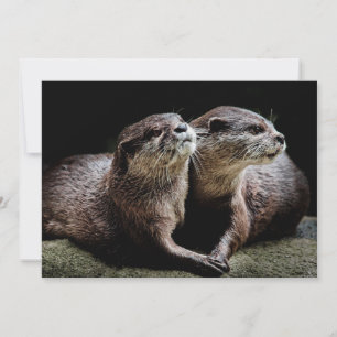 Cutest Baby Animals   Otters Holding Hands Thank You Card