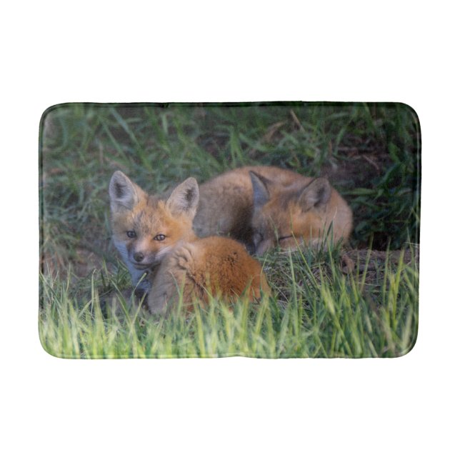 Cutest Baby Animals | Pair of Red Fox Kit Siblings Bath Mat (Front)