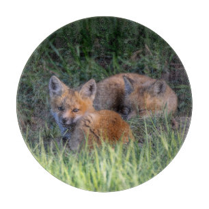 Cutest Baby Animals Pair of Red Fox Kit Siblings Cutting Board