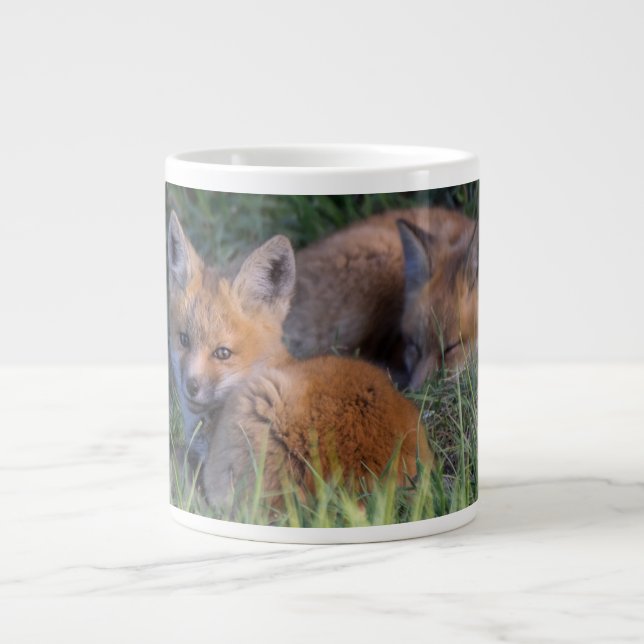 Cutest Baby Animals | Pair of Red Fox Kit Siblings Large Coffee Mug (Front)