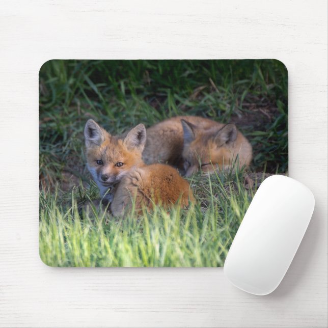 Cutest Baby Animals | Pair of Red Fox Kit Siblings Mouse Pad (With Mouse)