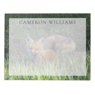 Cutest Baby Animals   Pair of Red Fox Kit Siblings Notepad
