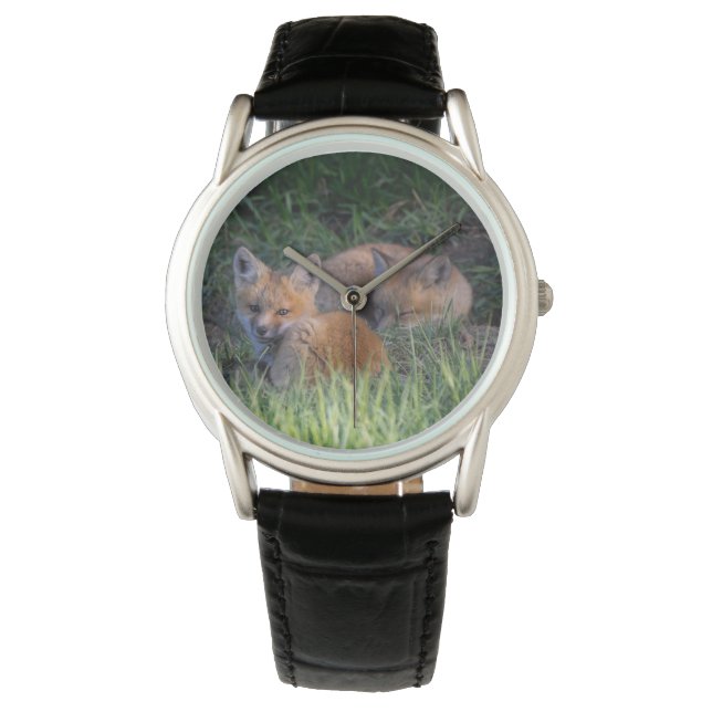 Cutest Baby Animals | Pair of Red Fox Kit Siblings Watch (Front)