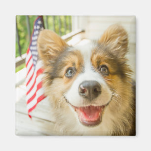 Cutest Baby Animals   Patriotic Corgi Puppy Magnet