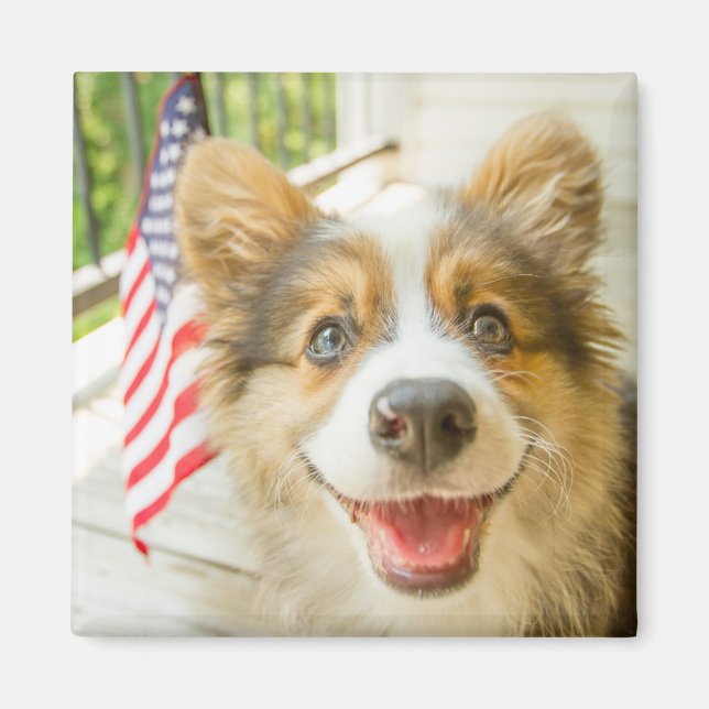 Cutest Baby Animals | Patriotic Corgi Puppy Magnet (Front)