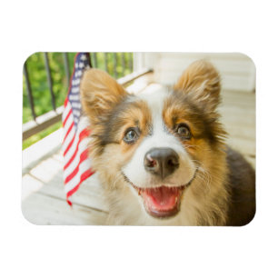 Cutest Baby Animals Patriotic Corgi Puppy Magnet