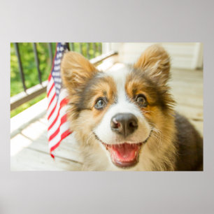Cutest Baby Animals Patriotic Corgi Puppy Poster
