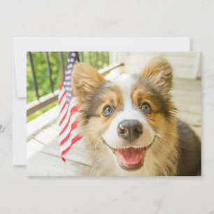 Cutest Baby Animals   Patriotic Corgi Puppy Thank You Card