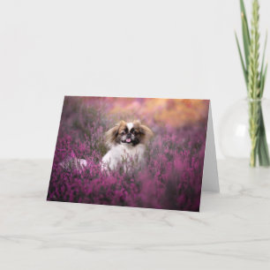 Cutest Baby Animals Pekingese Puppy Card