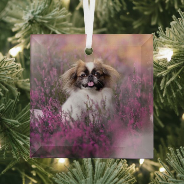 Cutest Baby Animals | Pekingese Puppy Glass Tree Decoration (Insitu)