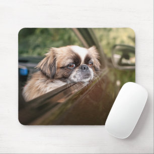 Cutest Baby Animals Pekingese Puppy in Car Mouse Pad