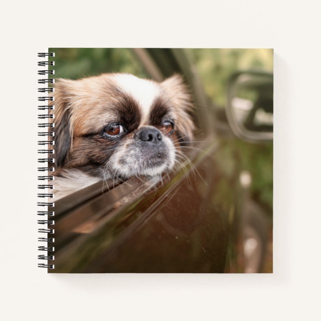 Cutest Baby Animals | Pekingese Puppy in Car Notebook (Front)