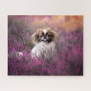 Cutest Baby Animals   Pekingese Puppy Jigsaw Puzzle