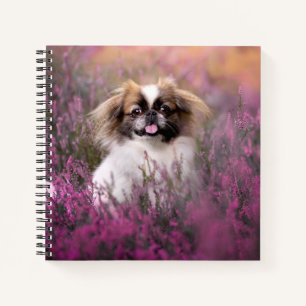 Cutest Baby Animals Pekingese Puppy Notebook