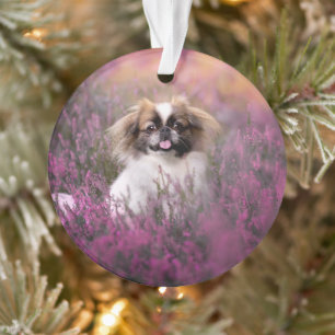 Cutest Baby Animals Pekingese Puppy Ornament