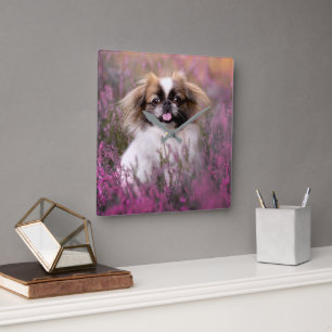 Cutest Baby Animals   Pekingese Puppy Square Wall Clock