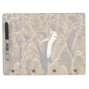 Cutest Baby Animals   Penguin Among Youngsters Dry Erase Board With Key Ring Holder