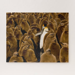 Cutest Baby Animals   Penguin Among Youngsters Jigsaw Puzzle