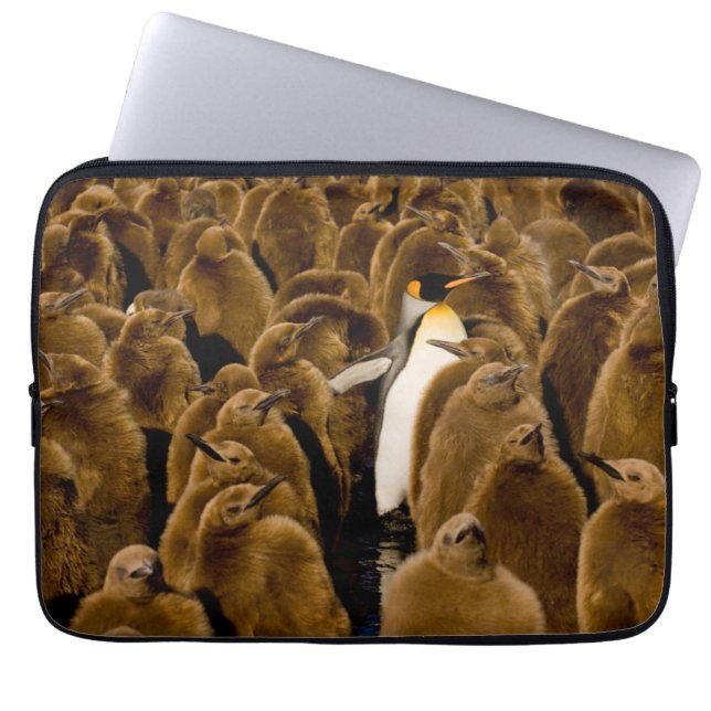 Cutest Baby Animals | Penguin Among Youngsters Laptop Sleeve (Front)