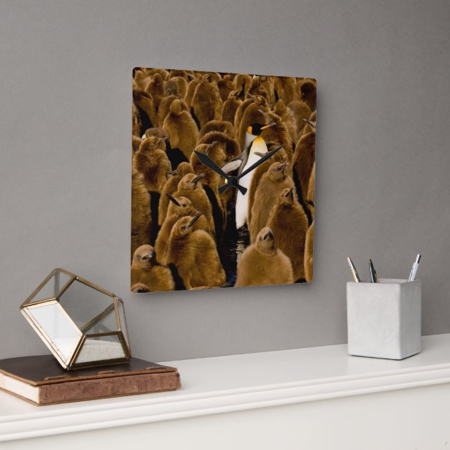 Cutest Baby Animals | Penguin Among Youngsters Square Wall Clock (Office)