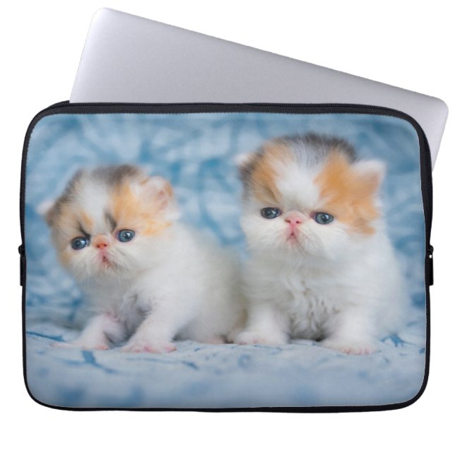 Cutest Baby Animals | Persian Calico Kitten Laptop Sleeve (Front)