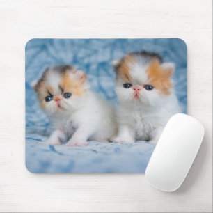 Cutest Baby Animals Persian Calico Kitten Mouse Pad