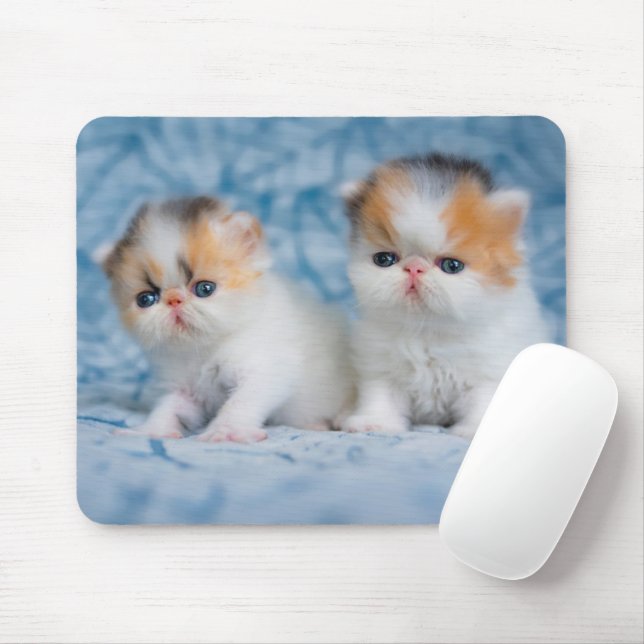 Cutest Baby Animals | Persian Calico Kitten Mouse Pad (With Mouse)