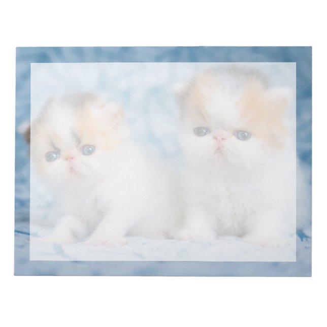 Cutest Baby Animals | Persian Calico Kitten Notepad (Front)