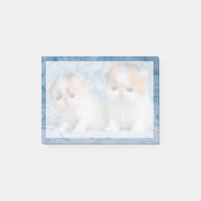 Cutest Baby Animals | Persian Calico Kitten Post-it Notes (Front)