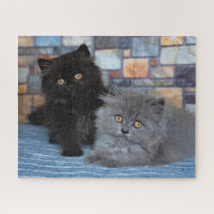 Cutest Baby Animals Persian Kittens on Blanket Jigsaw Puzzle
