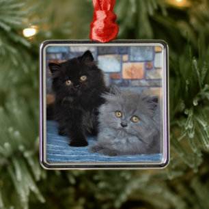 Cutest Baby Animals Persian Kittens on Blanket Metal Ornament