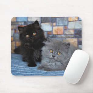 Cutest Baby Animals   Persian Kittens on Blanket Mouse Pad