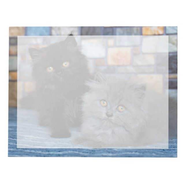 Cutest Baby Animals | Persian Kittens on Blanket Notepad (Front)