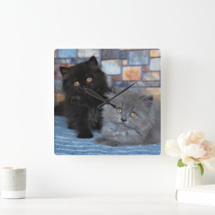 Cutest Baby Animals Persian Kittens on Blanket Square Wall Clock