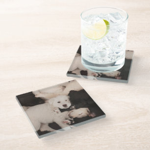 Cutest Baby Animals Pile of Puppies Glass Coaster