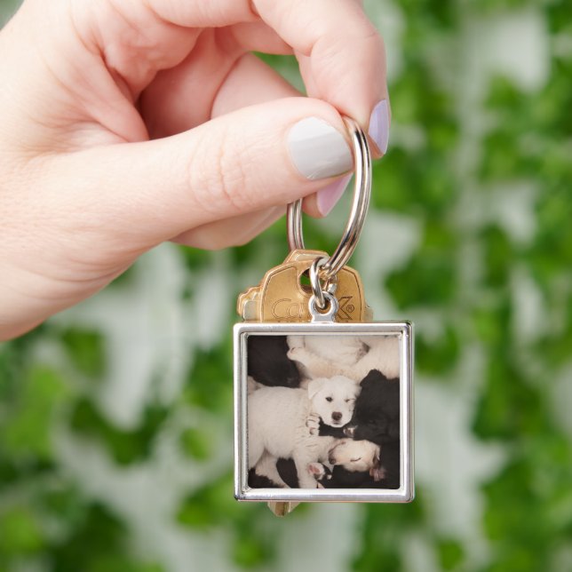 Cutest Baby Animals | Pile of Puppies Key Ring (Hand)