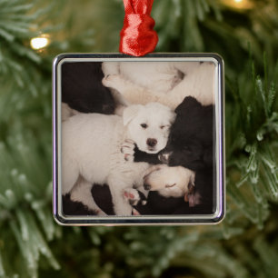 Cutest Baby Animals   Pile of Puppies Metal Ornament