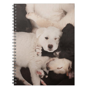 Cutest Baby Animals Pile of Puppies Notebook