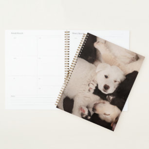 Cutest Baby Animals Pile of Puppies Planner