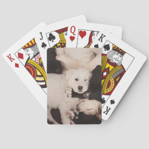 Cutest Baby Animals Pile of Puppies Playing Cards