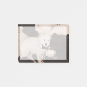 Cutest Baby Animals Pile of Puppies Post-it Notes