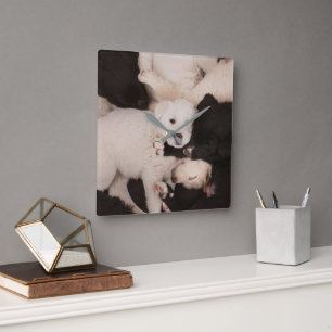 Cutest Baby Animals Pile of Puppies Square Wall Clock
