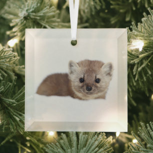 Cutest Baby Animals Pine Marten Glass Tree Decoration