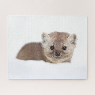 Cutest Baby Animals Pine Marten Jigsaw Puzzle