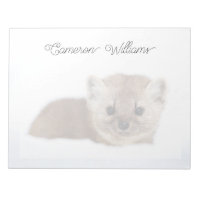 Cutest Baby Animals | Pine Marten