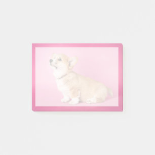 Cutest Baby Animals   Pink Corgi Puppy Post-it Notes