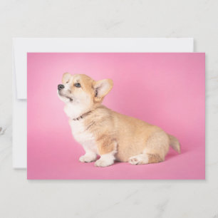 Cutest Baby Animals Pink Corgi Puppy Thank You Card