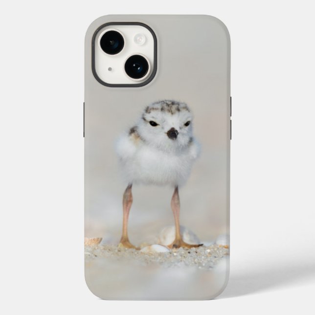 Cutest Baby Animals | Piping Plover Chick Case-Mate iPhone Case (Back)