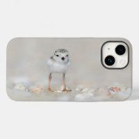 Cutest Baby Animals | Piping Plover Chick