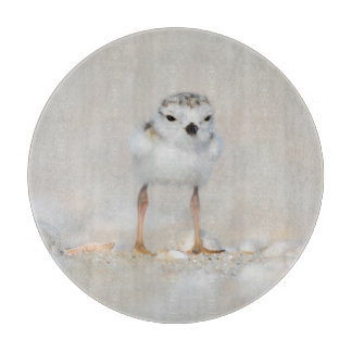 Cutest Baby Animals | Piping Plover Chick Cutting Board